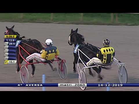 Aversa trotto 14 Dicembre 2019 - 4° Corsa