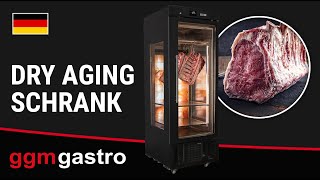 Armoire de maturation de viande Dry Aging - 700 mm - avec 1 porte en verre - Noir