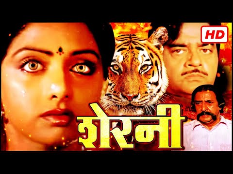श्रीदेवी की ९०'s की सबसे बड़ी सुपरहिट ब्लॉकबस्टर हिंदी मूवी - SRIDEVI BLOCKBUSTER HINDI MOVIE SHERNI