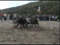SANPEDROMANTA Una Cinta Verde