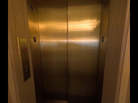 Luxurious KONE Traction Elevator at Restoration Hardware Cherry Creek Shopping Center in Denver, CO