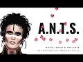 Adam And The Ants A N T S Animation Lyric Video