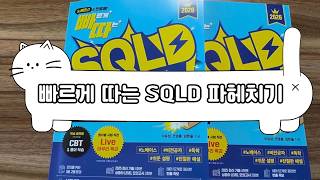 2026 빠르게 따는 SQLD(1권(이론)+2권(빈출 족보+기출&모의고사) 분권, 웹 CBT(PC/모바일) 제공, 시험 직전 Live 빠따 특강)