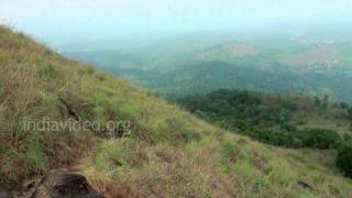 Wayanad, the Green Paradise of Kerala