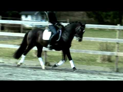 GRYTHÖJDENS GENERAL