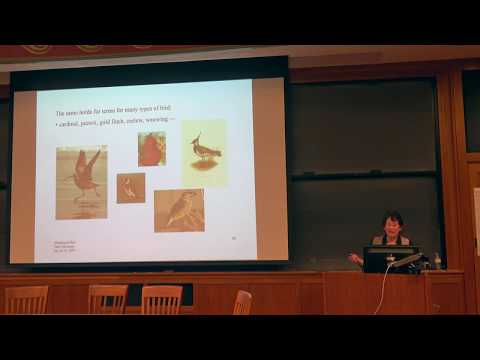 Eve Clark - "Partial Meanings"