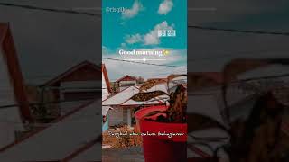 Download lagu Literasi 30 detik(Rossa-Tegar) mp3