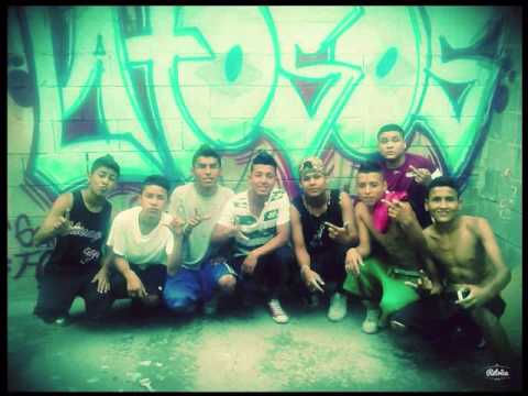 Que siga la loquera - Latosos Clicka