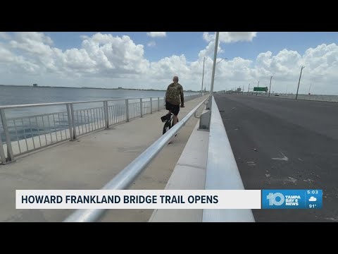 Howard Frankland Bridge Live