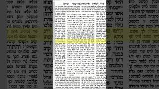 זבחים דף קיז לצפייה