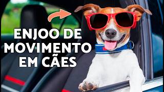 Como ACABAR com a ansiedade do seu cachorro no carro rapidamente 🐾🚗 (Guia passo a passo)