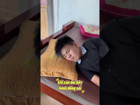 Hành động đúng và hành động sai khi đối xử với thú cưng | Tippi Vips #tippitv #tippivips