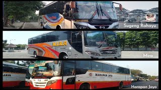 Download lagu Kumpulan Suara Klakson Bus Jawa Timuran Terbaru 20... mp3
