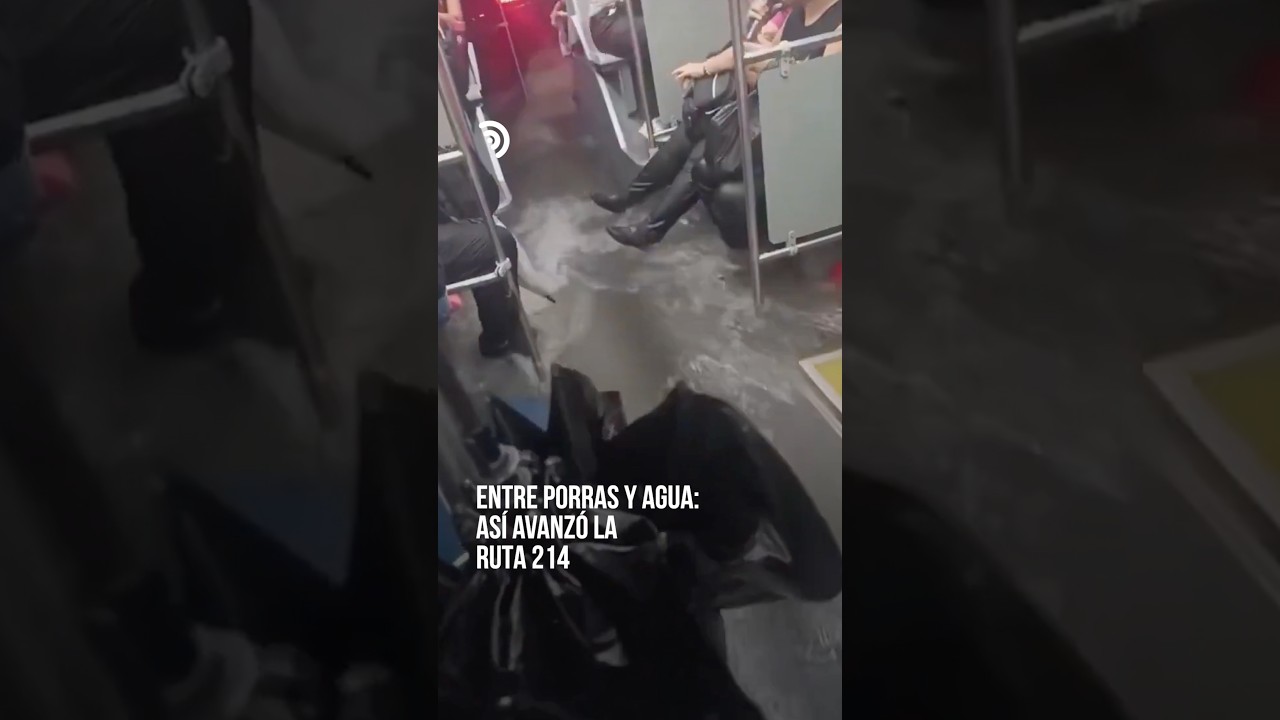 El agua entró al camión… y los pasajeros respondieron con porras 🌧️🚌