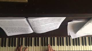 “For Reverend Green” / “Fireworks” - Animal Collective (Piano Cover)