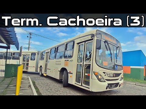 Term. Cachoeira (3) - Ônibus urbano em movimentação em Almirante Tamandaré - Paraná AMEP