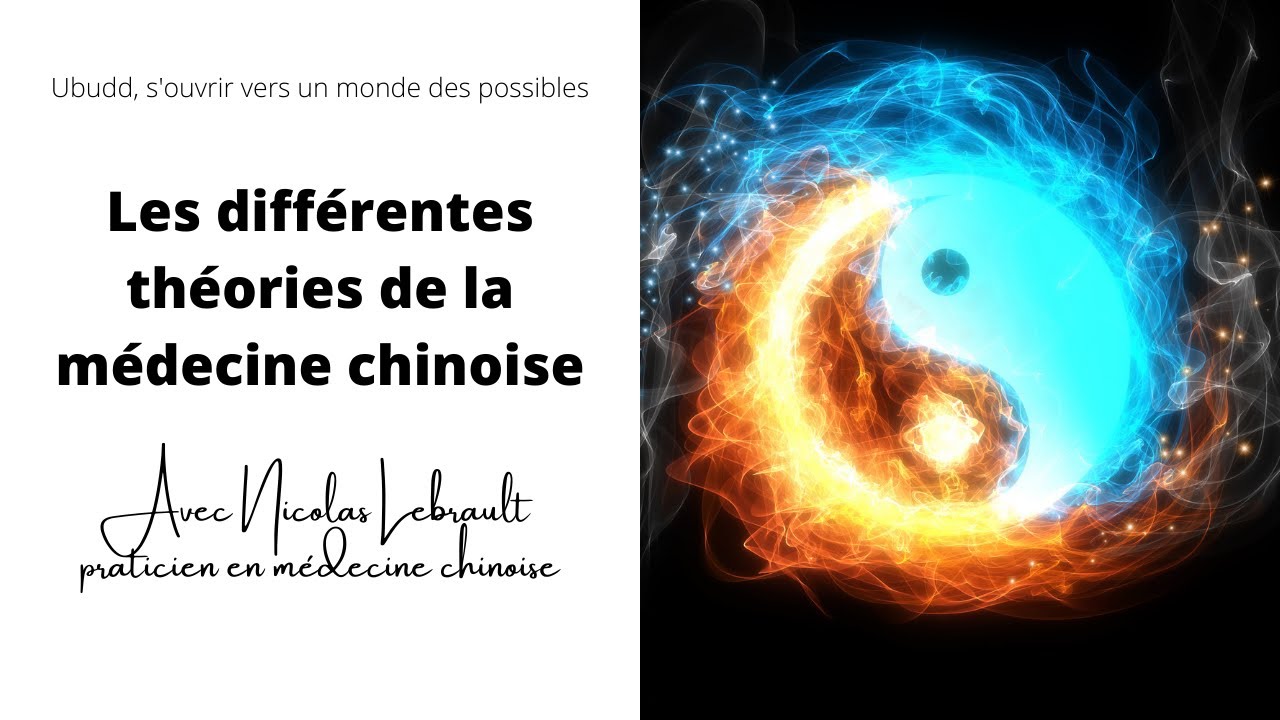 Watch video Les différentes théories de la médecine chinoise, Nicolas Lebrault praticien en médecine chinoise. Les différentes théories de la médecine chinoise, Nicolas Lebrault praticien en médecine chinoise.