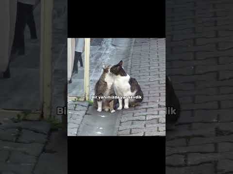 karanlık yollardan geçtik 😂