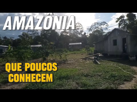 VIDA REAL DOS RIBEIRINHOS NA AMAZÔNIA/ Comunidade Ribeirinha Porto Praia - Uarini Amazonas 
