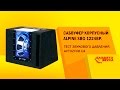 Video review Alpine SBG-1224BP