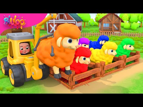 Learn colors with Baa Baa Black Sheep | BluLoo Nursery Rhymes & Kids Songs