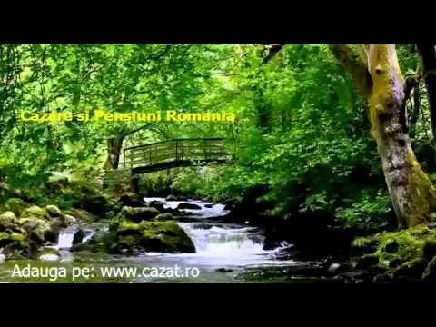 Cazare Vadu Moldovei, Suceava - Cazat.ro