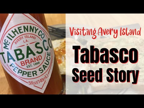 TABASCO Seed Story: our visit to Avery Island
