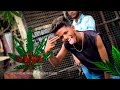 The GANJA ALBUM 2024 Happymahashivratri2024 Happyshivaratri Lordshiva Trip Bombole Hindi