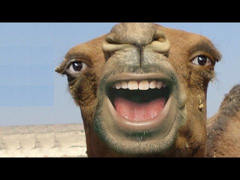 clean memes I eat with chocolate cake