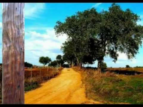 Esteio de Aroeira video