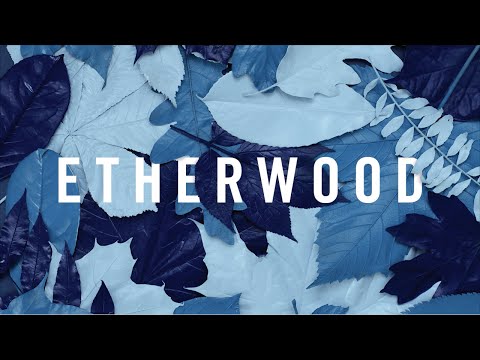 Etherwood - Caption