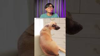 Try Not To Laugh Challenge 1045 🤣 #funny #shorts #viralvideo