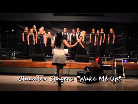 RSMS Spring Concert Highlights - 2015