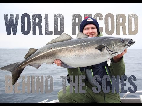 Andørja world record expedition, behind the scenes - Small Fish Stories