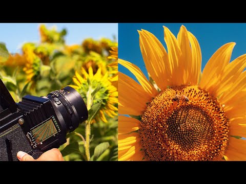 Mamiya RBEE67 Challenge