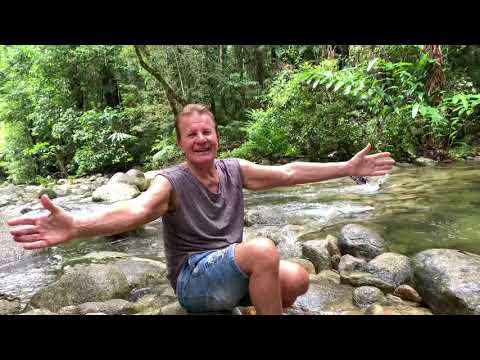 Misty Mountains Rainforest  Retreat