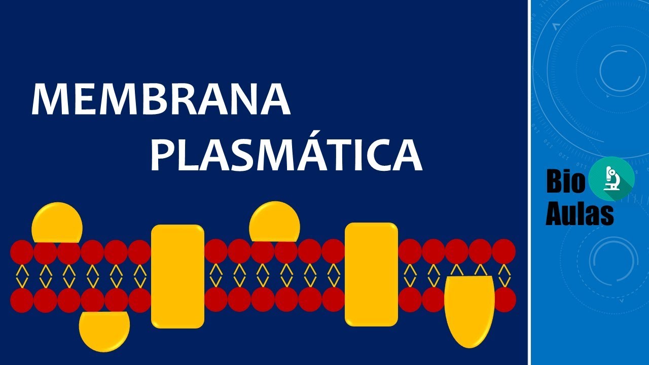 Membrana Plasmática: Fosfolipídios, Colesterol e Proteínas (Citologia) - Bio Aulas