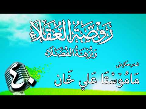 وانەی چلەم
