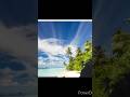 Nature Whatsapp Status 4kshort Video Hindi Cinema Song Khilte Hain Gul Yahan Kishore Kumar