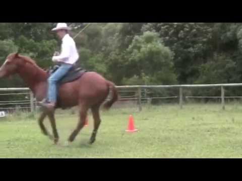 Bridle-less Riding - Ben & Mav Bridle-less Riding - Ben & Mav