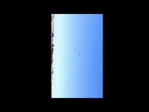 Awesome T-6 Texan with racing engine flyby