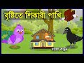 বৃষ্টিতে শিকারী পাখি | Kak O Chorui Cartoon | Bird Eggs | Bangla Story | Bangla Cart