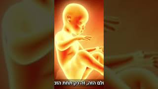 #פרשתפנחס #יהדות #מוטיבציהלהצלחה #הרב_נחמן_שלמה בנו של #הרב_מאיר_שלמה (הרב מאיר שלמה זצ"ל) - התמונה מוצגת ישירות מתוך אתר האינטרנט יוטיוב. זכויות היוצרים בתמונה שייכות ליוצרה. קישור קרדיט למקור התוכן נמצא בתוך דף הסרטון