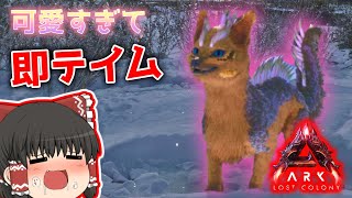 [ARK ASA]6期#2 「ARK史上初めての進化する生物!?」 恐竜とともに強くなれ!! [ゆっくり実況]