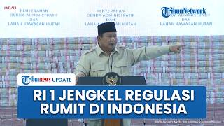 Prabowo Jengkel, Sentil Regulasi Rumit di Indonesia: Negara Lain 2 Minggu, Kenapa Kita 2 Tahun