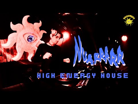 nuarrrrr at Balsamiqua | Piękny Pies Kraków | High Energy House