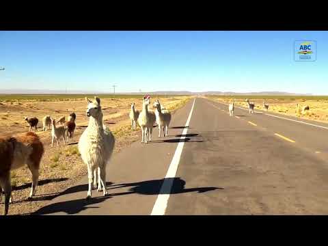 EL GOBIERNO ENTREGÓ LA CONSTRUCCIÓN DE LOS TRAMOS NAZACARA-SAN ANDRÉS DE MACHACA-SANTIAGO DE MACHACA