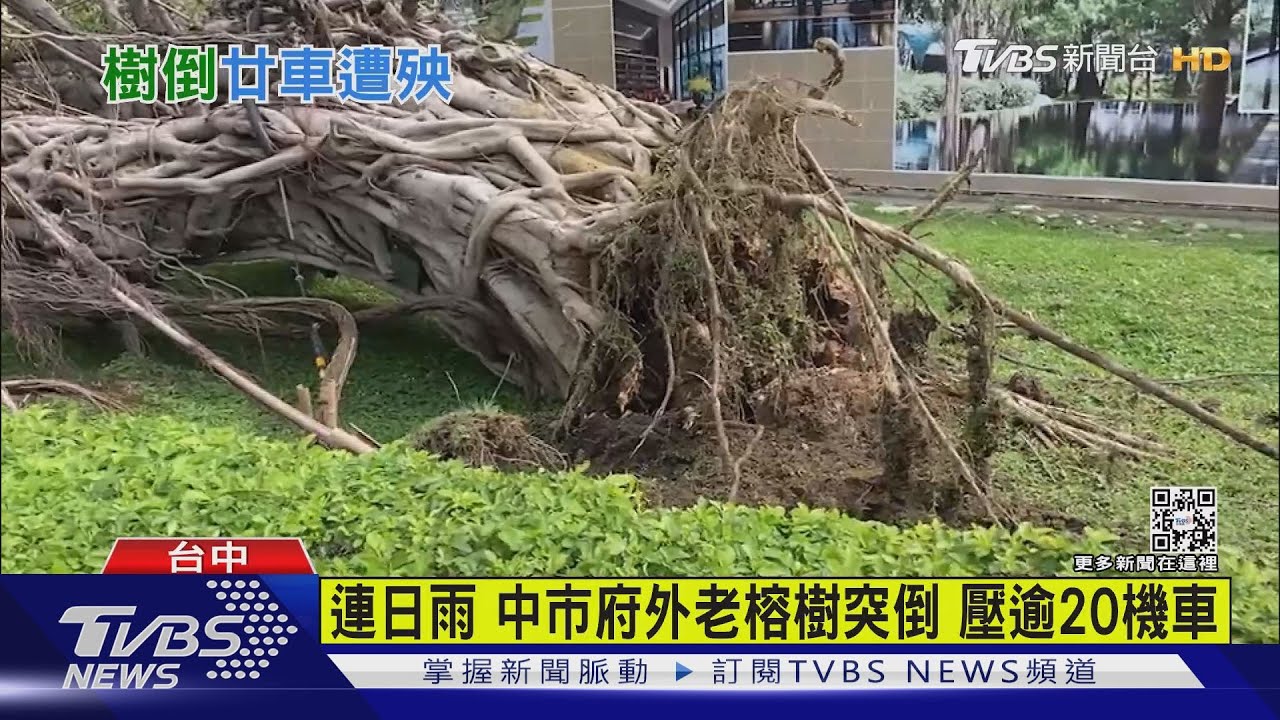 連日雨中市府外老榕樹突倒　壓逾20機車