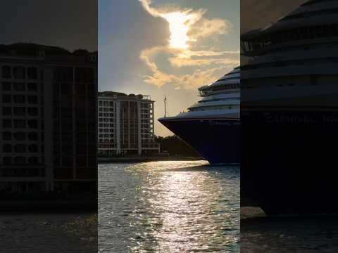 Thumbnail for Carnival Magic 🛳️#like #share #comment #subscribe #cruiseship #cruise #vacation #shorts #short #fun