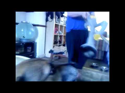 KAMMY VS MIKE DYSON.avi